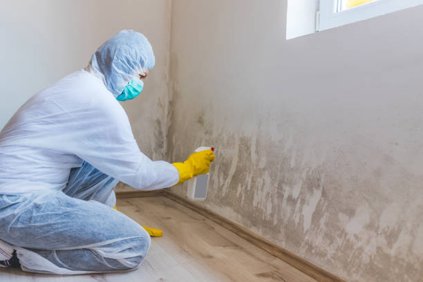 Mold inspector in Long Beach performing thermal imaging